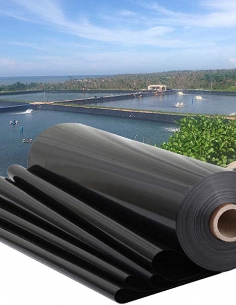 Màng chống thấm HDPE